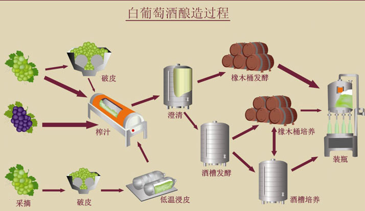 白葡萄酒